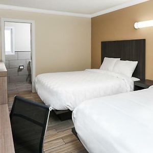 Queen Room Two Queen Beds